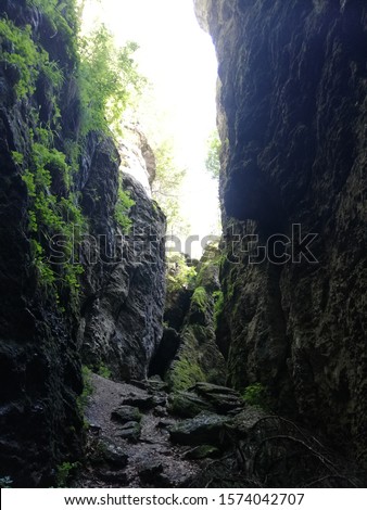 black stone covered with grass in the bear's cave in the mountains