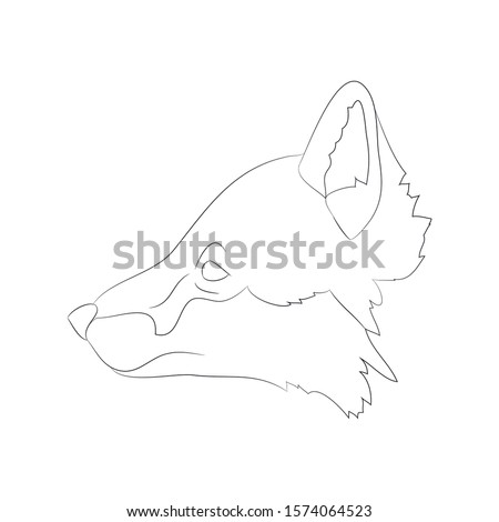 fox portrait vector illustration, line drawing, wild world, vector, white background