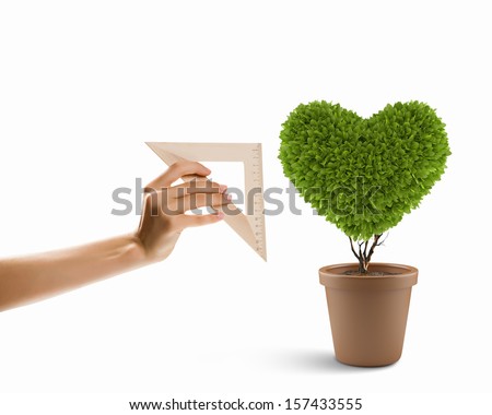 Image of plant shaped like heart. Environment concept