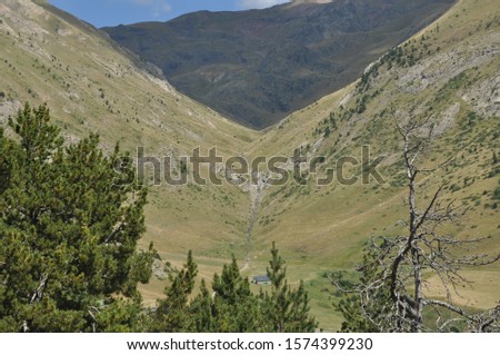 A shady valley in the south of France