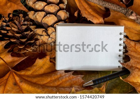 Composition Created Using Pine Cones, Blank Paper For Text, Black Pencil and Dry Autumn Leaves