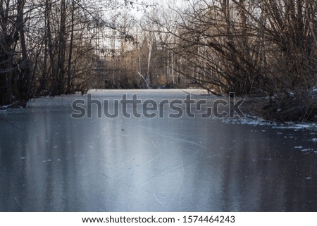 ice skating surface in the forest