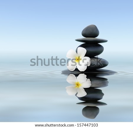 Zen spa concept background - Zen massage stones with frangipani plumeria flower in water reflection Royalty-Free Stock Photo #157447103