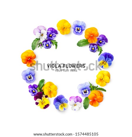 Viola pansy flower easter composition. Wreath of colorful spring flowers on white background. Floral arrangement, creative layout and floral design. Top view, flat lay, copy space 