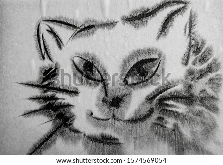 cat - hand drawn illustration - wet aquarelle