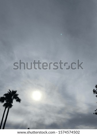 Beautiful view of sun covered by clouds and palm trees in the background