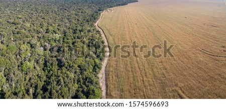 Panoramic drone aerial view of Xingu Indigenous Park territory and soybean farms in the Amazon rainforest, Mato Grosso, Brazil. Concept of deforestation, agriculture, global warming and environment. Royalty-Free Stock Photo #1574596693