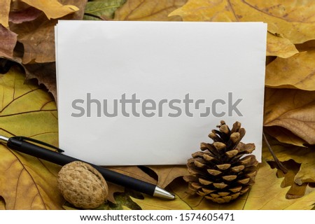 Composition Created Using Pine Cone, Blank Paper For Text, Black Pencil, Walnut, and Dry Autumn Leaves