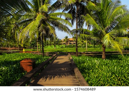 Beautiful nature of India, Goa.