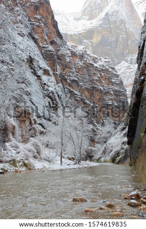 The virgin river flowing from the Narrows during a winter snow storm with trees and canyon walls in the background
