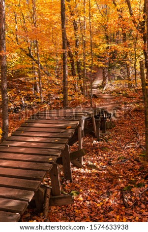 Wooden boardwalk for mountain biking in the woods on a beautiful, sunny autumn day. Colorful fall foliage all around. Shot in Bromont, Quebec Canada. 