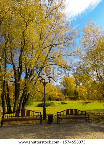 Autumn landscape of a city park on a sunny day.