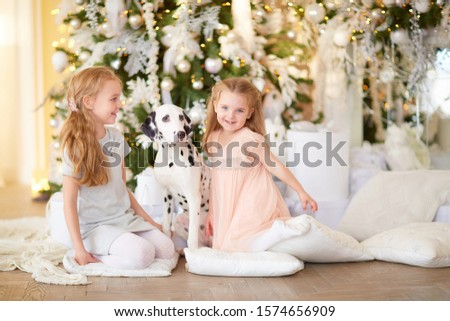 two beautiful girls in dresses sitting on the floor next to a Dalmatian dog and playing with her against the background of a Christmas tree and gifts