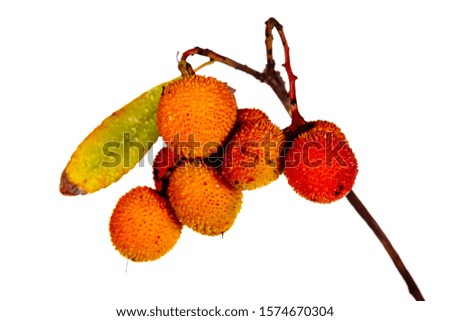 Fruit berry  with white background