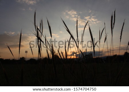 Behind the grass in the evening to see the mountains and the light of the sun. Lonely atmosphere