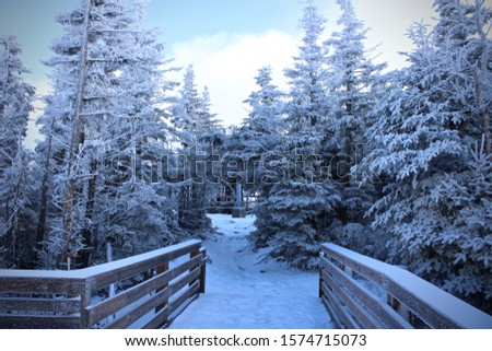 Beautiful landscape wallpaper of Whiteface Mountain peak in winter on a snowy day with clouds hovering around and pine trees covered with snow. 