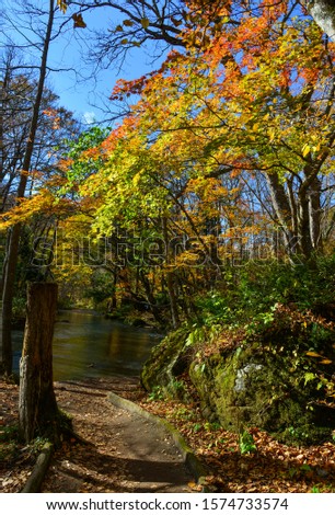 Autumn scenery of Oirase Gorge in Aomori, Japan. Oirase is an attractive natural destination in Tohoku Region, especially in the fall.