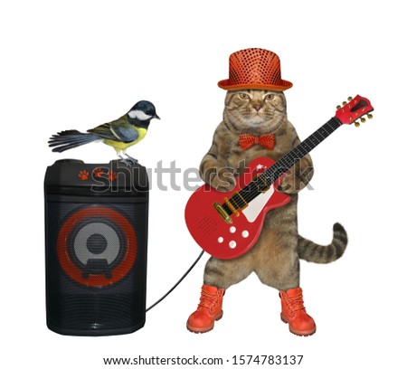 The cat in a red hat, a bow tie and boots is playing the electric guitar near the loudspeaker. White background. Isolated.