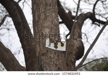 Small number 18 sign on a tree. Eerie and dark feel.Not edited. Vintage.Old.Rusted.