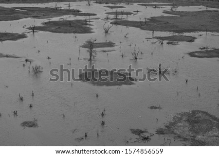 Landscape of the Okavango Delta from an aerial view, Botswana, Africa