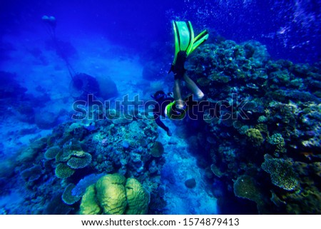 underwater back view of diver photographing the Coral reef, off Port Douglas, The Great Barrier Reef, Queensland coasts, Australia
The Great Barrier Reef is the world's largest coral reef system, 