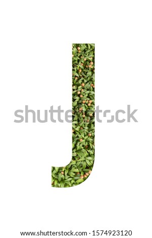 Green font letter J made of real alive micro green on white background with paper cut shape of letter. Collection of micro green font for your unique decoration