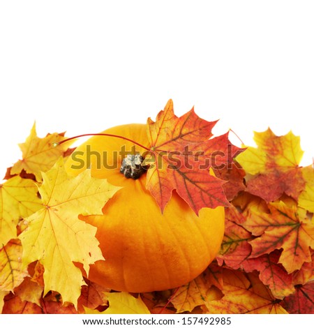 Orange pumpkin against turned yellow maple-leaf leaves composition isolated over white as a autumn Halloween copyspace background
