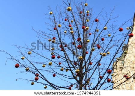 Outdoor christmas tree decoration in a sunny day.