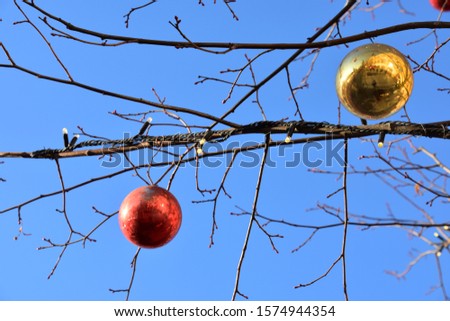 Outdoor christmas tree decoration in a sunny day.