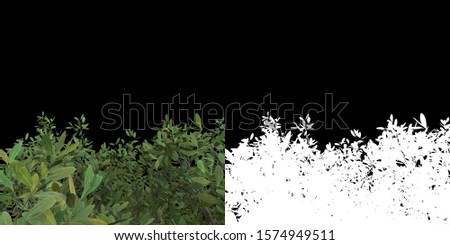 Foliage isolated on black background with white mask for easy cutout. 3d 