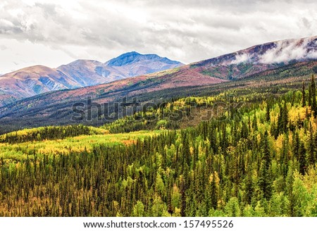 Forested Mountain Valley