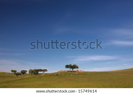 Spring time landscape; picture taken in the Portuguese countryside.