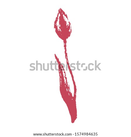 Stock vector illustration with hand drawing 1 wine color tulip flower. Botanical pastel sketch for wedding invitations, Valentine's Day greeting cards, decor. Spring clip art on a white background.