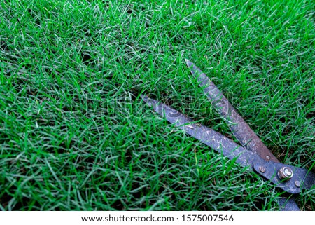 grass scissors gardening shears on green grass background