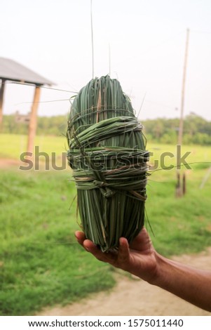 a picture of "kulchis', an elephant sandwich made of knotted long grass packed with rice