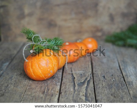 A family of pumpkins carry a Christmas tree home for Christmas on a wooden background, like in a fairy tale. Greeting card wish well-being in the New Year