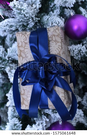 Christmas blue gift box inside a bush
