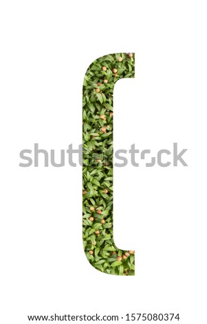 Green font symbol minus made of real alive micro green on white background with paper cut shape of letter. Collection of micro green font for your unique decoration