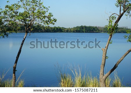 Landscape clam lake in the park  with streaks of water beautiful background