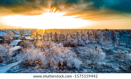 This photo was taken in the city of Omsk on a frosty winter evening. It depicts a village in a small birch forest at sunset. 