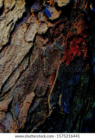 These pictures are mean to the nature of space of cracked of bark and effected by termites the result is amazing characters