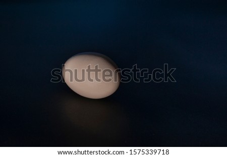 Chicken eggs isolated on dark blue background. Protein source, healthy food