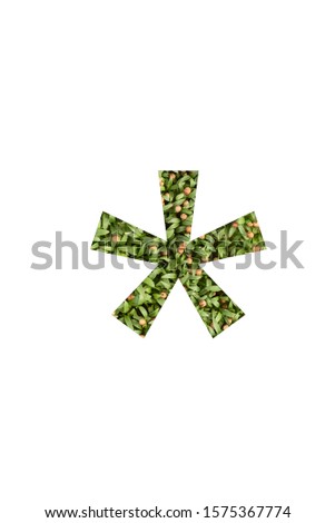 Green font symbol asterisk made of real alive micro green on white background with paper cut shape of letter. Collection of micro green font for your unique decoration