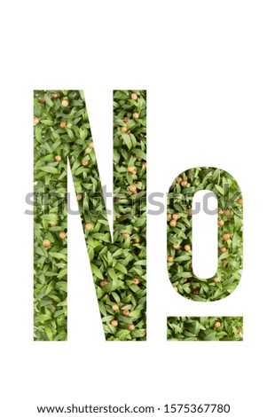 Green font symbol number made of real alive micro green on white background with paper cut shape of letter. Collection of micro green font for your unique decoration
