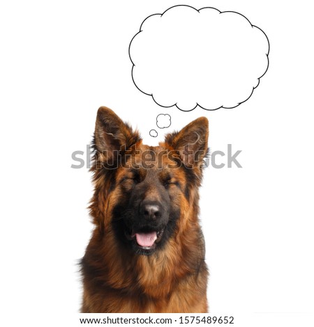 Portrait of Shepherd Dog Dreaming with Closed eyes with Bubble on Isolated White Background