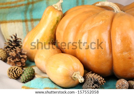 Ripe pumpkins on fabric background