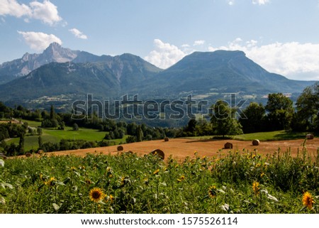 France landscape with mountains and sunflowers