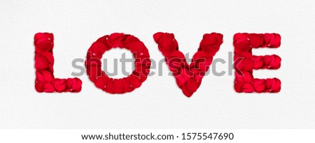 Beautiful LOVE Typography made of rose petals, valentines day greetings, isolated on a white background.