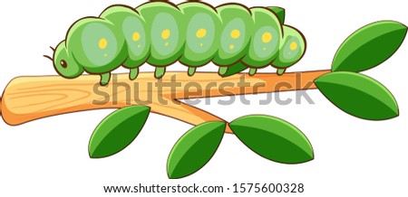 Fat caterpillar on white background illustration