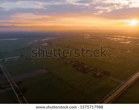 Aerial shot of sunrise over the green paddy field. Soft focus due to low light aerial shot.